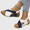 Cushioned Flat Sandals with Adjustable Buckle Straps