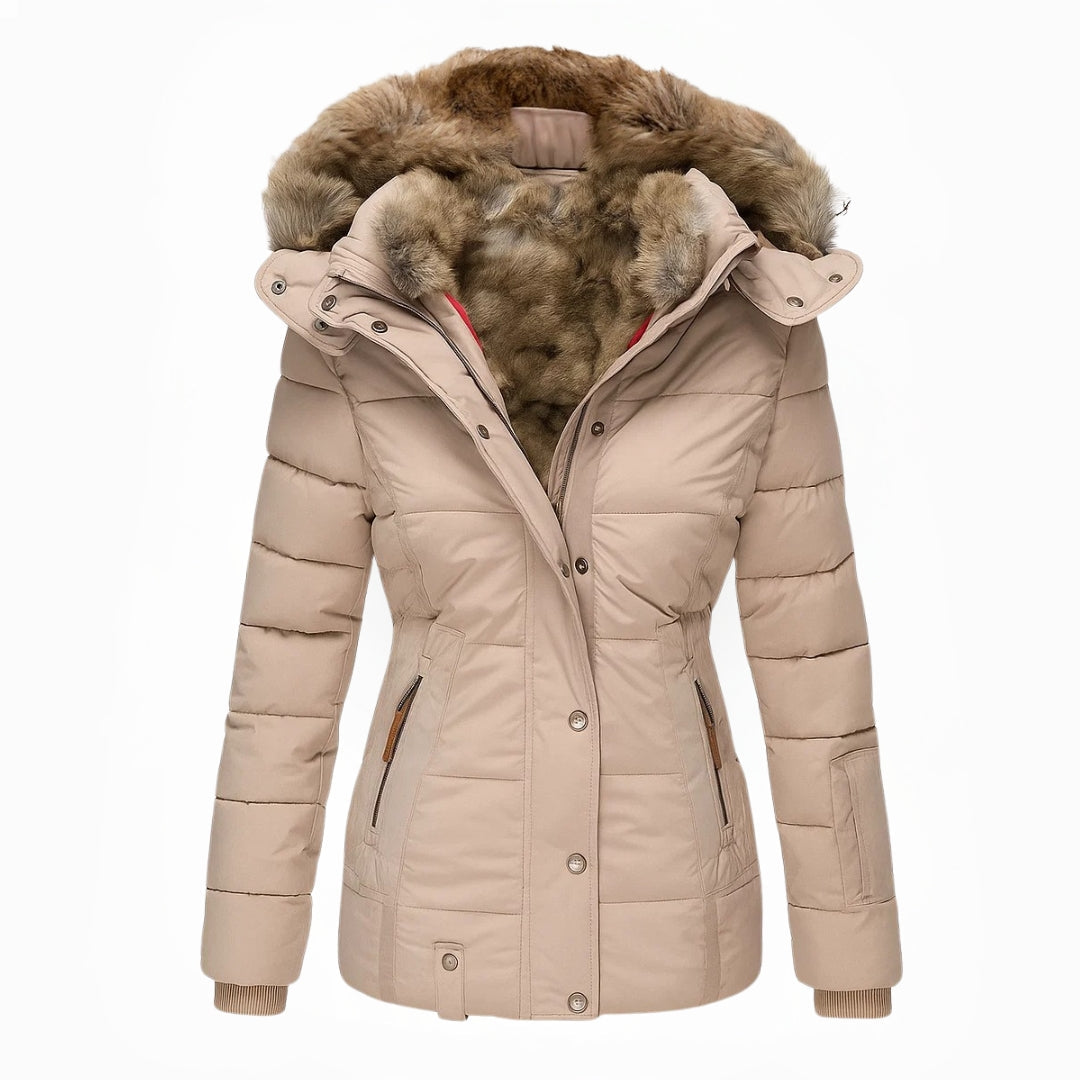 Padded Hooded Coat with Zip Front and Lining