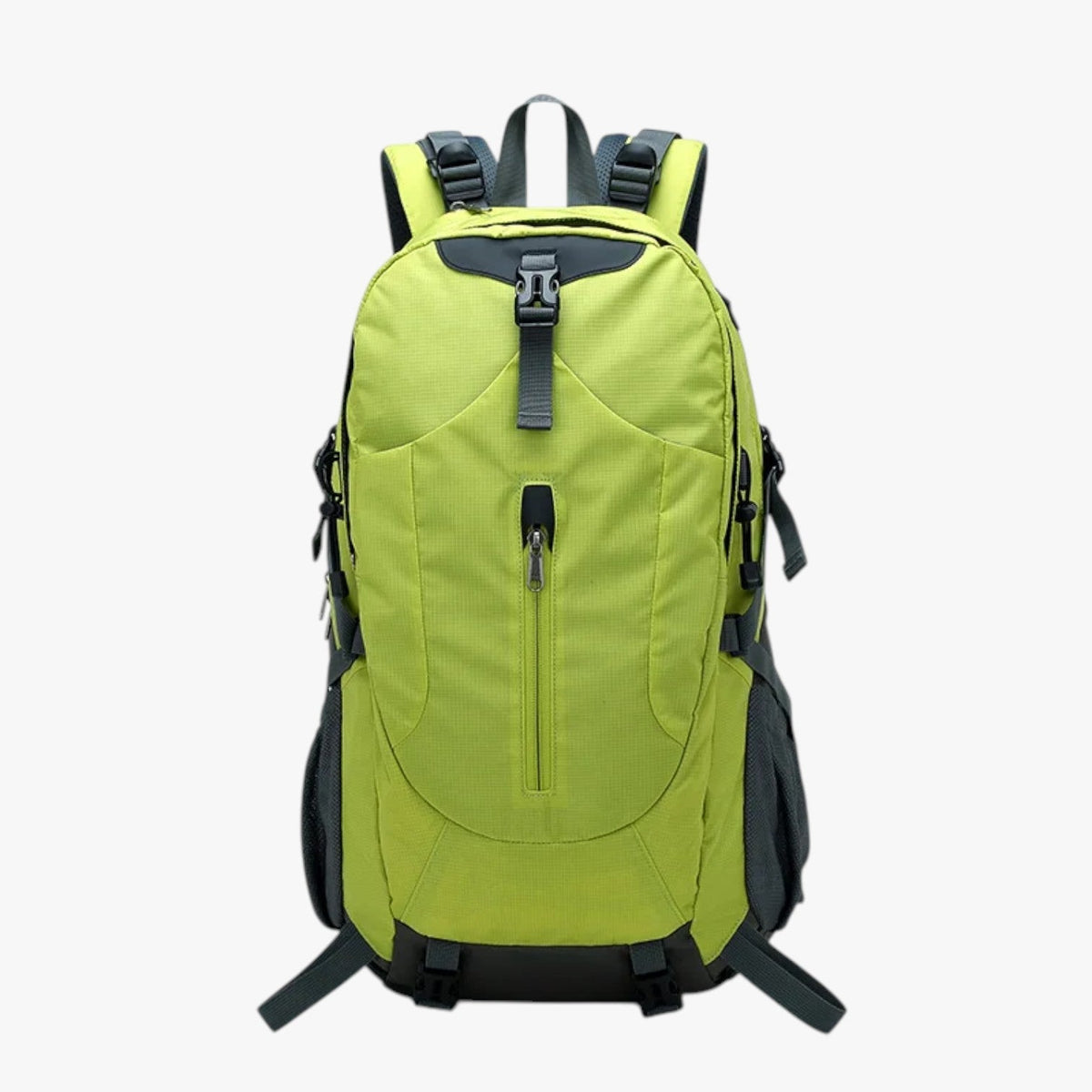 Large Backpack with Padded Laptop Compartment