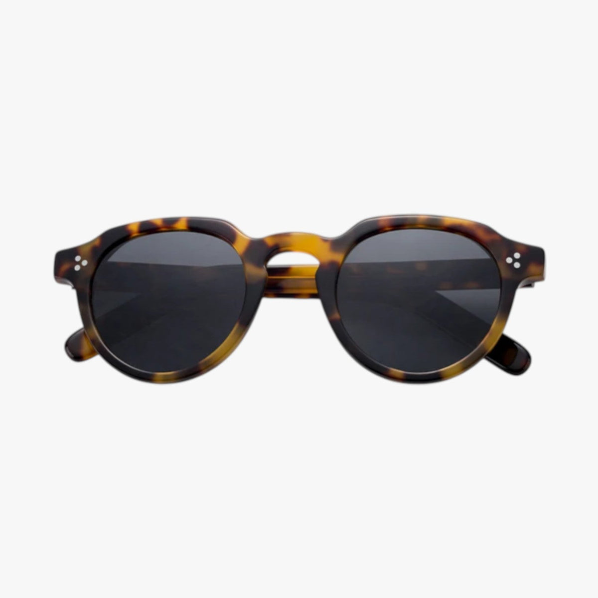 Retro Polarised Sunglasses with Biodegradable Frame
