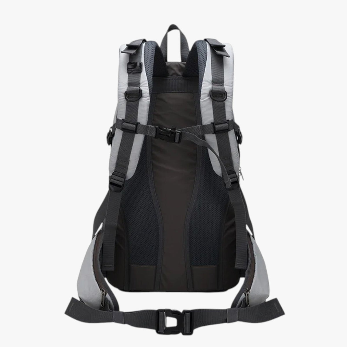 Large Backpack with Padded Laptop Compartment