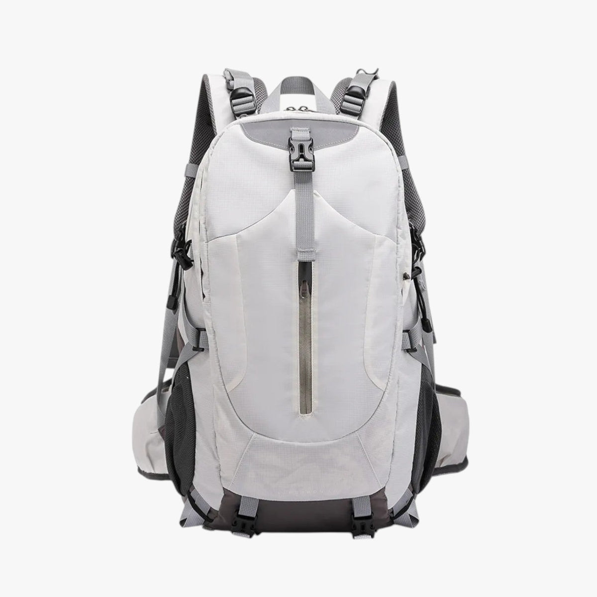 Large Backpack with Padded Laptop Compartment