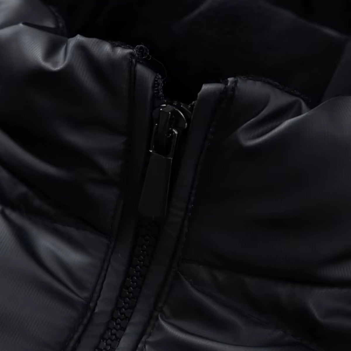 Insulated Wind and Water-Resistant Winter Jacket